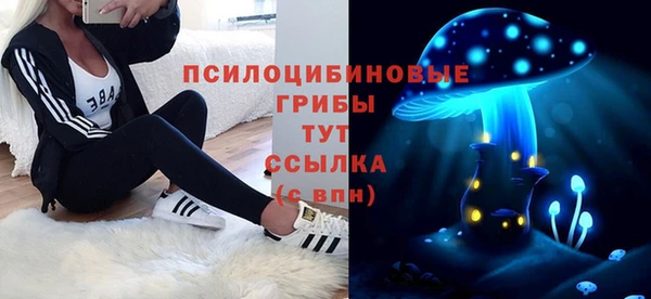 дживик Нея