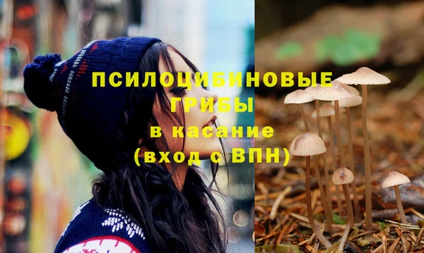 молекула духа Нефтегорск