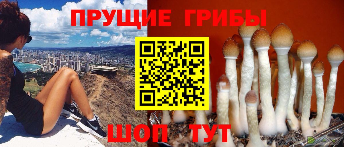 Псилоцибиновые грибы GOLDEN TEACHER  Ялта 