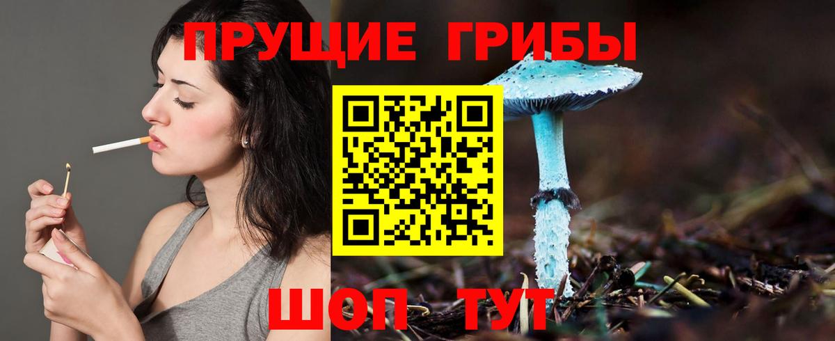 Псилоцибиновые грибы Magic Shrooms Ялта